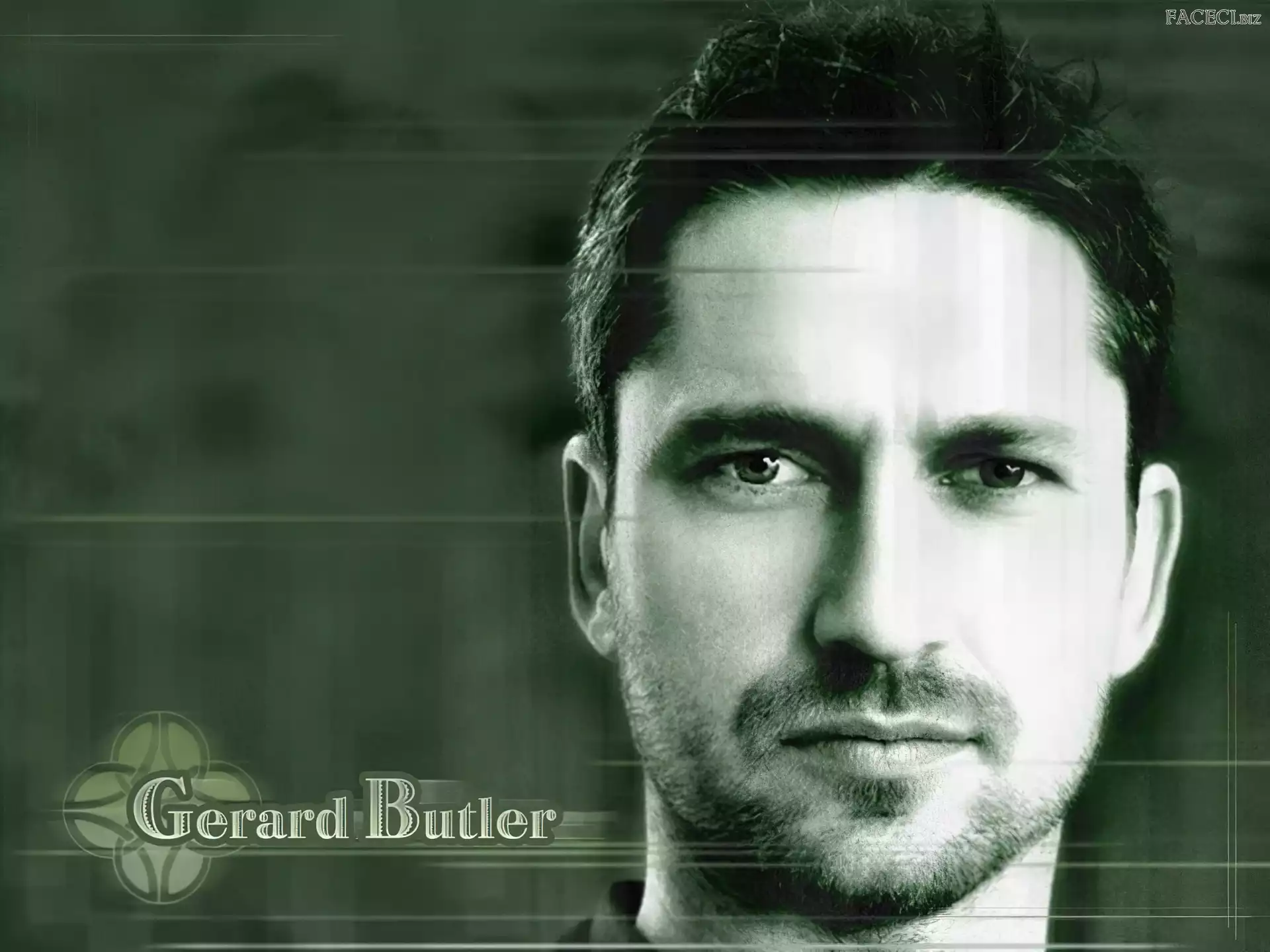 bródka, Gerard Butler, twarz