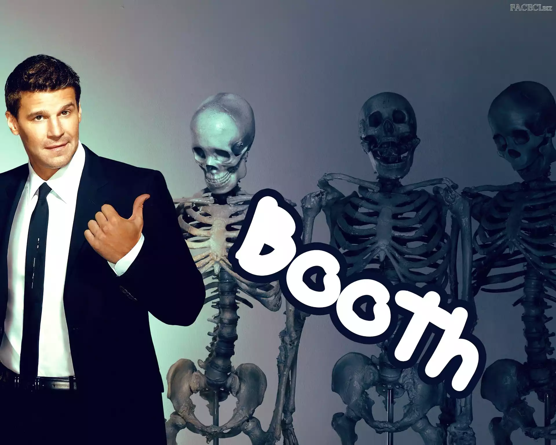 David Boreanaz, Szkielety, Kości, Serial, Bones