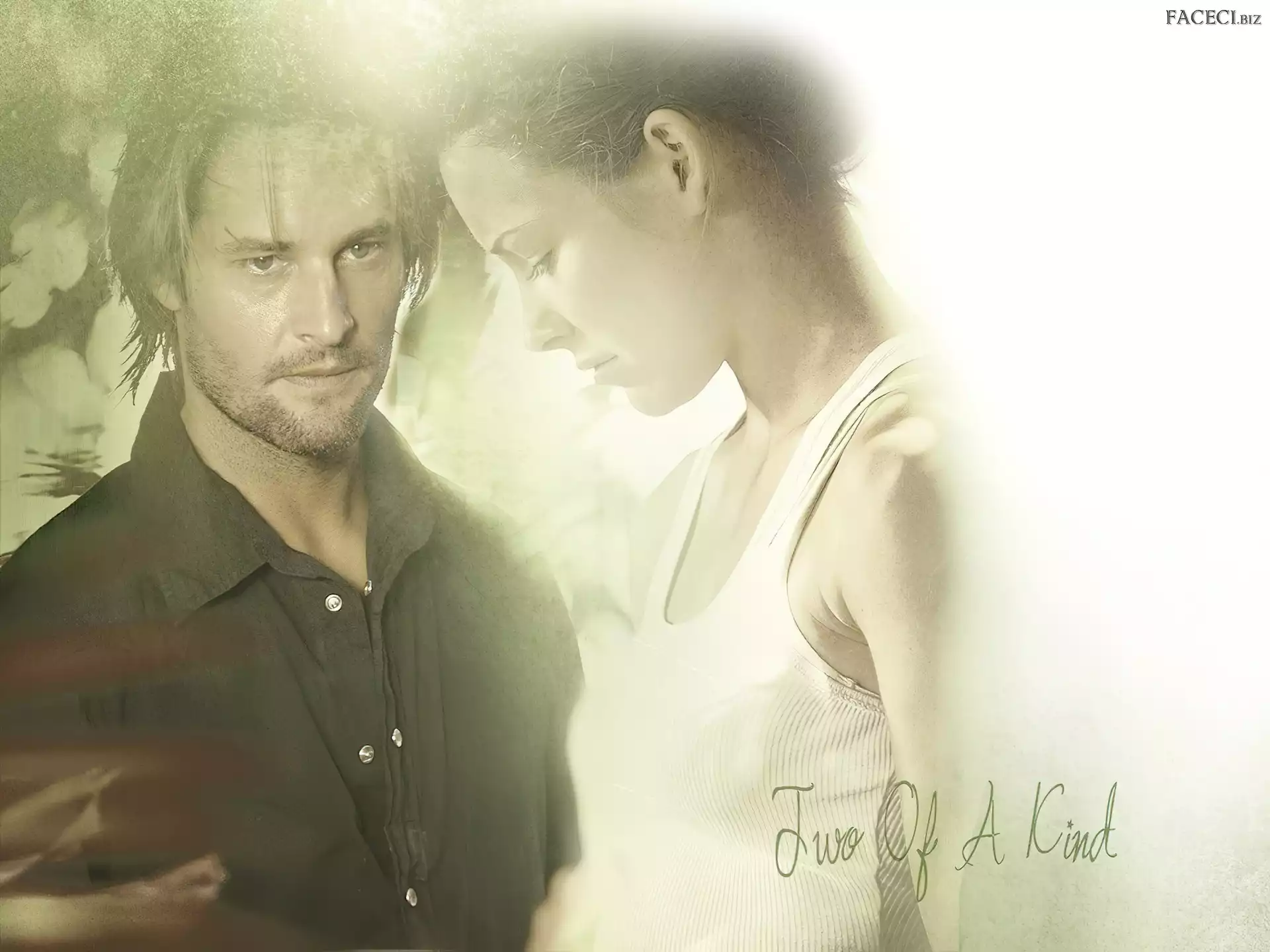 tło, Zagubieni, Serial, Evangeline Lilly, jasne, Lost, Josh Holloway